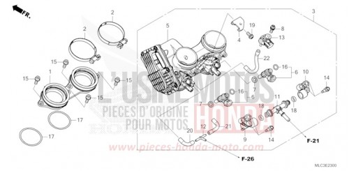 CORPS DE PAPILLON XL750P de 2024